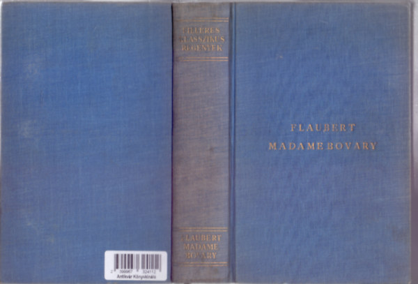 Madame Bovary - Vidéki erkölcsök (Filléres Klasszikus Regények)