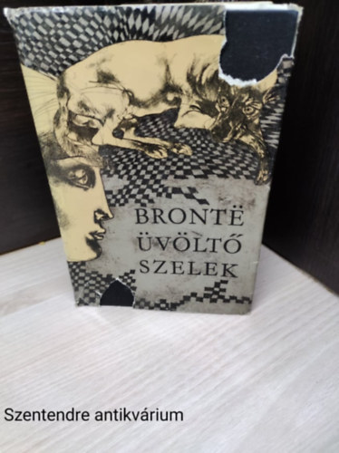 Üvöltő szelek (saját képpel)