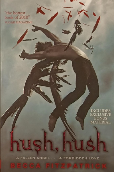 Hush,Hush a fallen angel ...a forbidden love