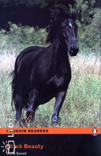 Black Beauty