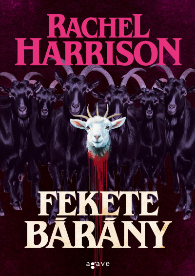 Fekete bárány