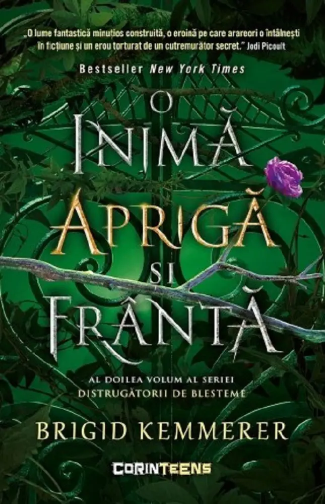 O inimă aprigă si frântă. Seria Distrugătorii de blesteme Vol.2