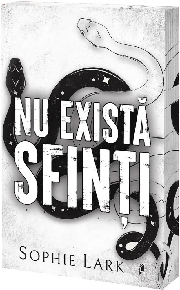 Nu există sfinți. Seria Sinners Duet Vol.1