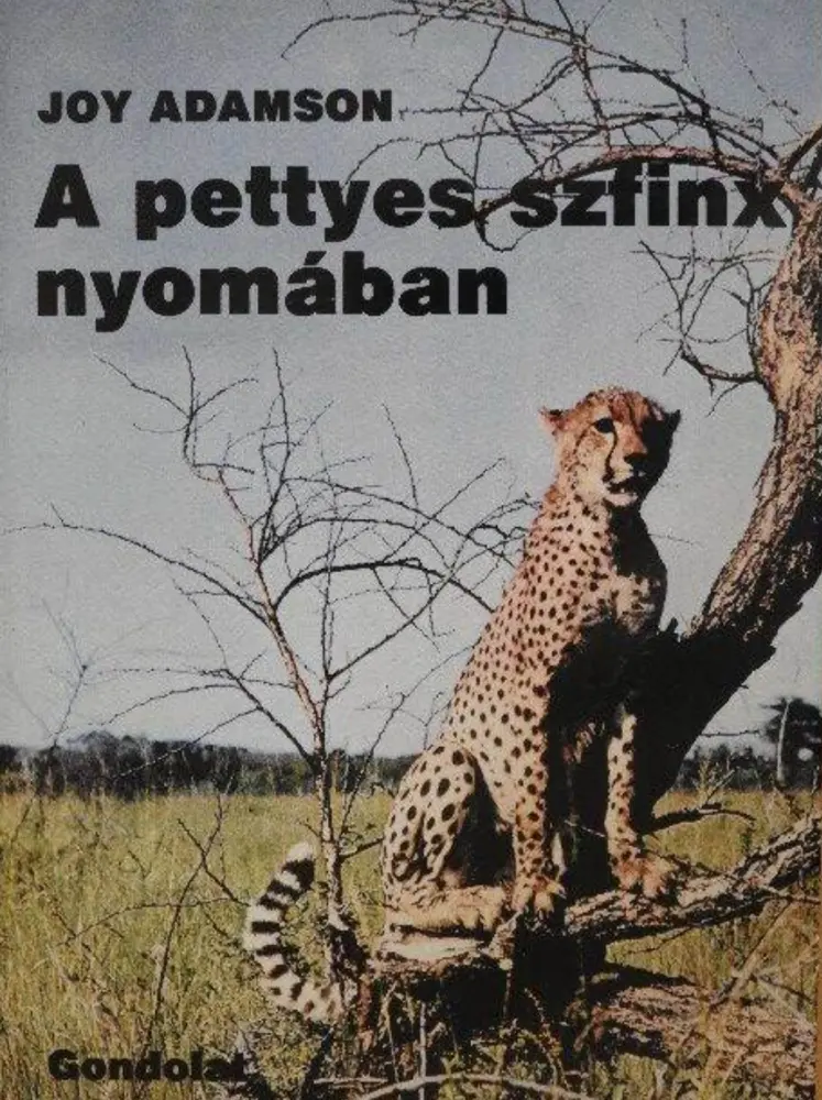 A pettyes szfinx nyomában