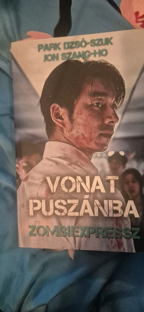 Vonat ​Puszánba