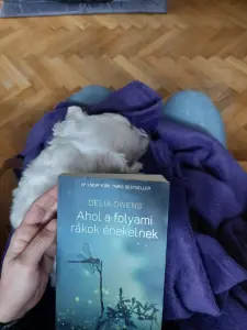 Profilkép