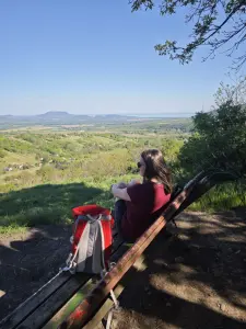  Dóri 