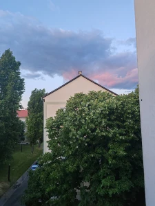 Profilkép
