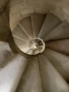 SZAMO22