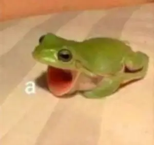 Profilkép