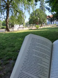 Tímea