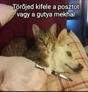 Profilkép