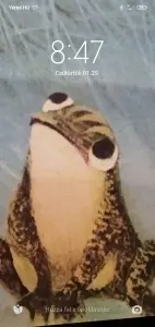 Profilkép