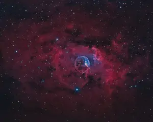 Profilkép