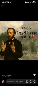 Profilkép
