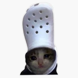 Profilkép