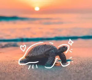 ✨🌊Adél🌊✨