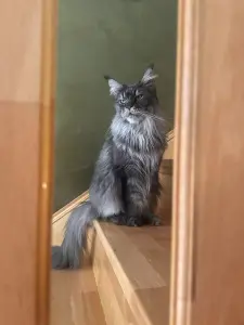 Cristina🖤